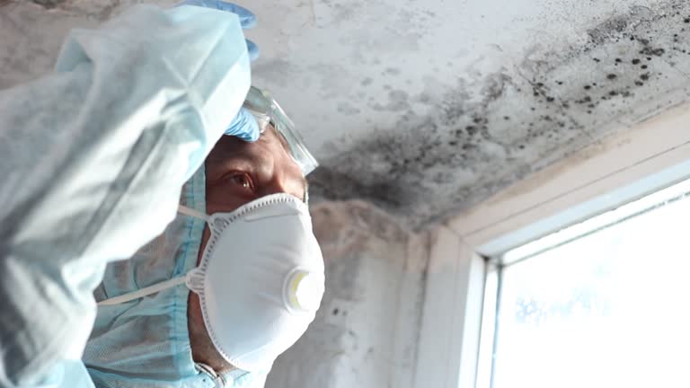 Mold Remediation for Rental Properties in Laurens, SC